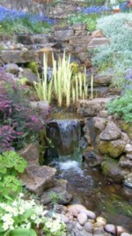 This is the sort of watergarden we hope to create at the Garden of Grace