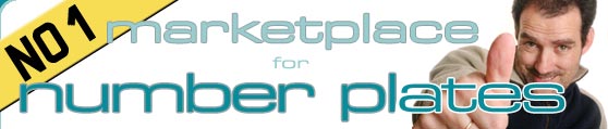 Link to N2GEL on ThePlateMarket.com